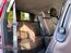 2019 INFINITI QX60