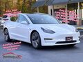 2020Tesla Model 3